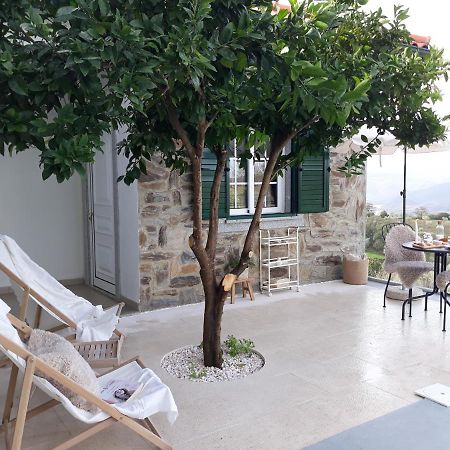 Casinha Da Colina Villa Alfândega da Fé Kültér fotó