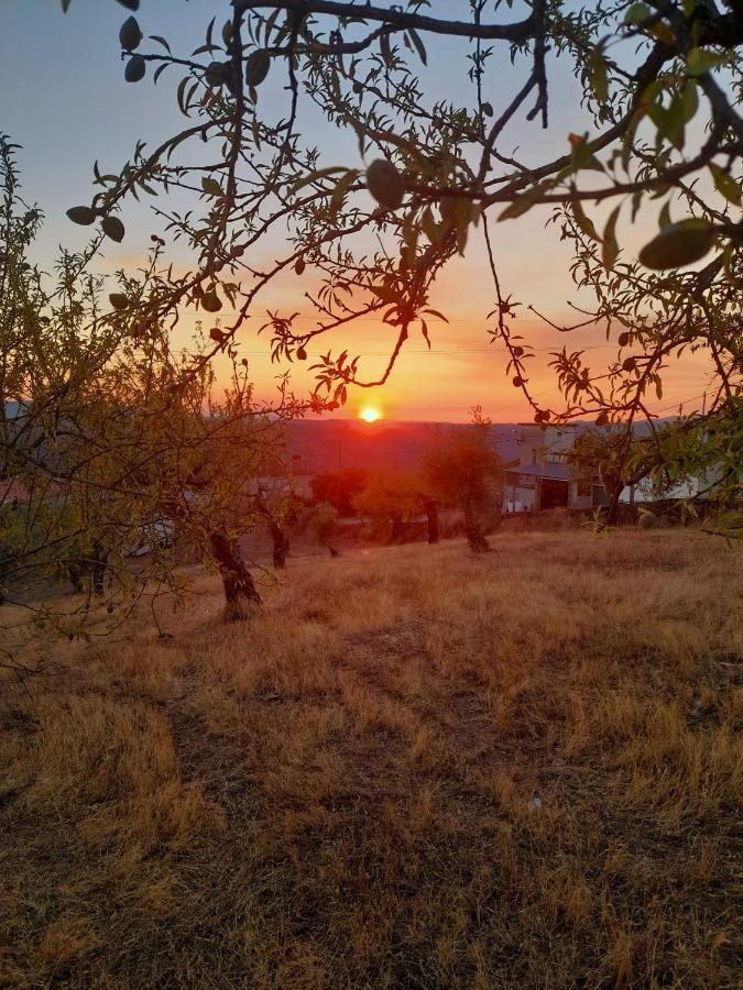Casinha Da Colina Villa Alfândega da Fé Kültér fotó