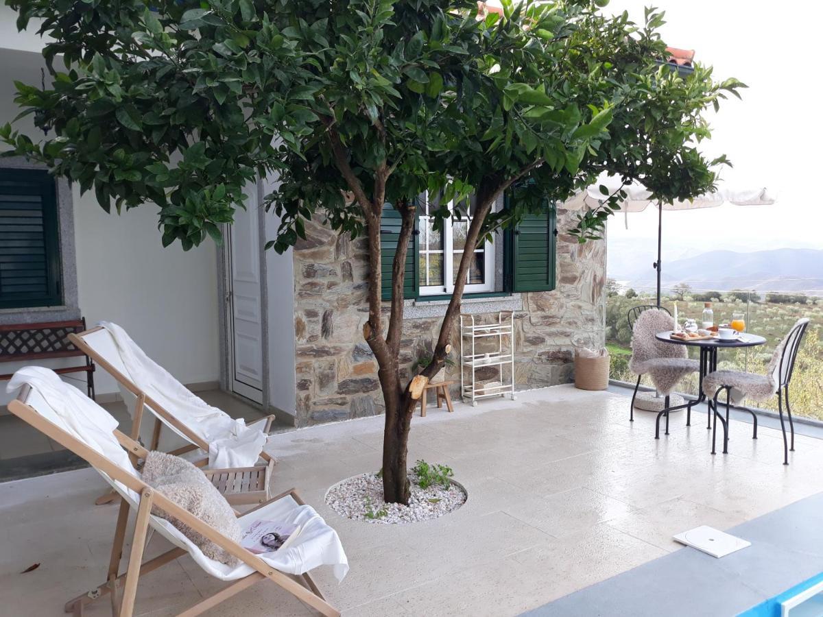 Casinha Da Colina Villa Alfândega da Fé Kültér fotó